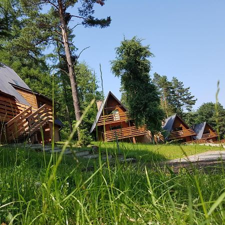 Apartament Ośrodek Wczasów Zdrowotnych Rudawka Rymanowska Zewnętrze zdjęcie