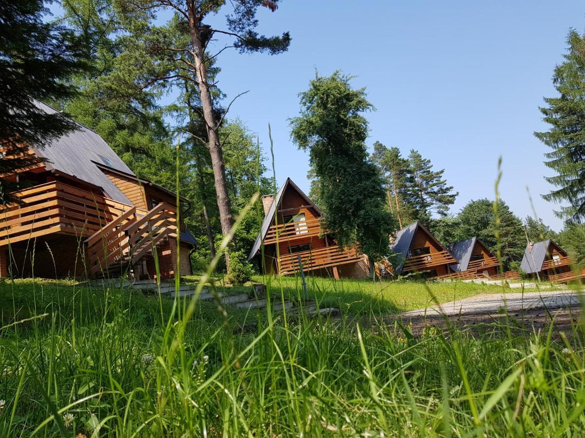 Apartament Ośrodek Wczasów Zdrowotnych Rudawka Rymanowska Zewnętrze zdjęcie