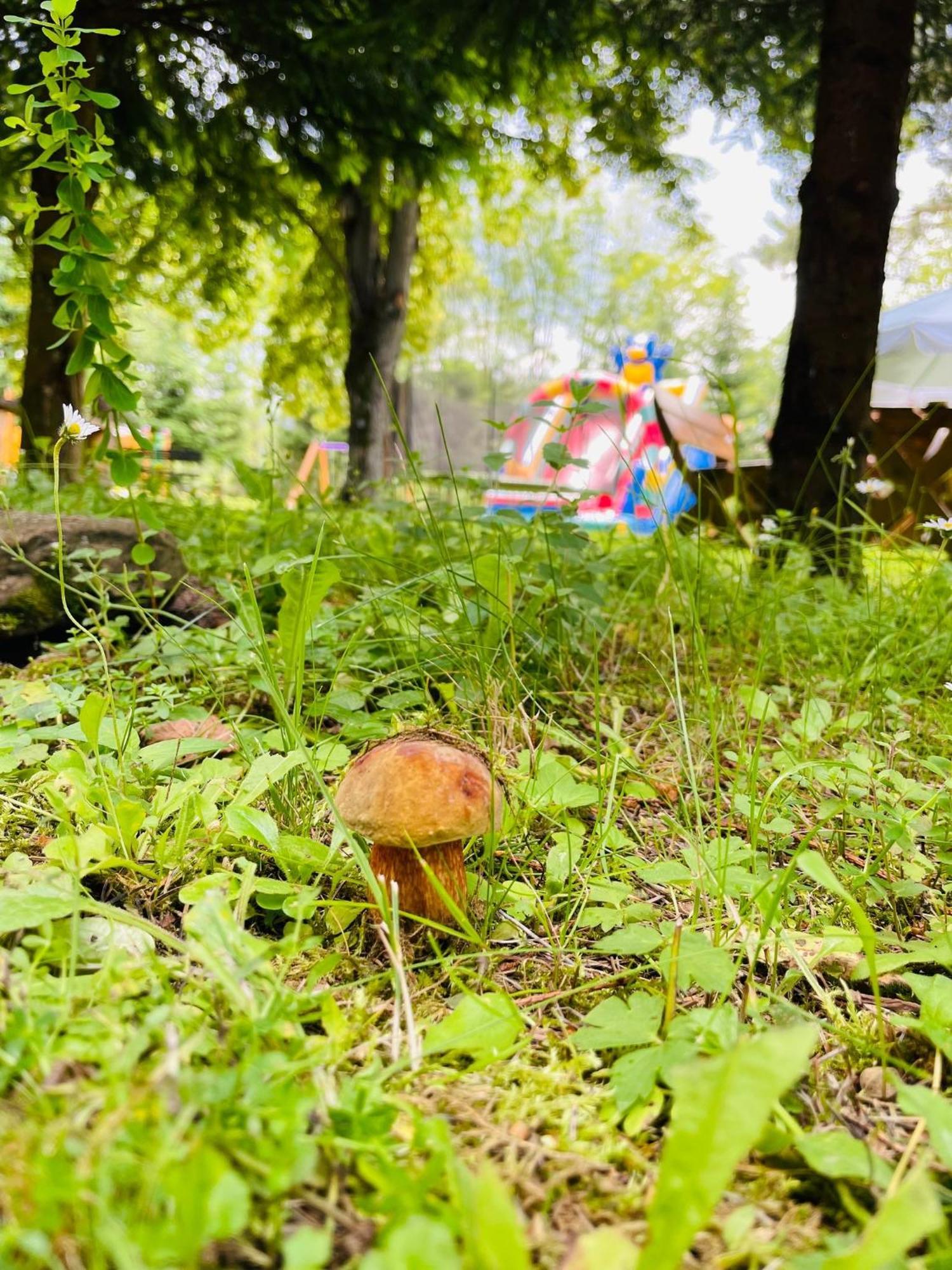 Apartament Ośrodek Wczasów Zdrowotnych Rudawka Rymanowska Zewnętrze zdjęcie